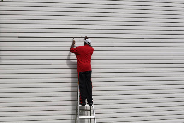 Best Custom Trim and Detailing for Siding  in Lake Lifornia, CA