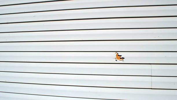 Affordable siding repair and maintenance services in Lake California, CA