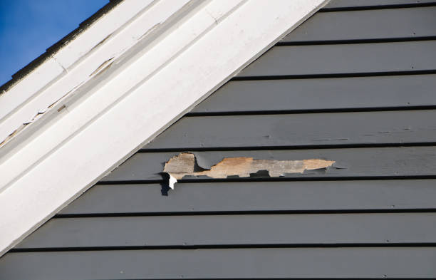 Reliable Lake California, CA Siding Installation & Repair Solutions