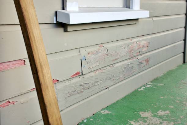 Best Custom Siding Design  in Lake Lifornia, CA